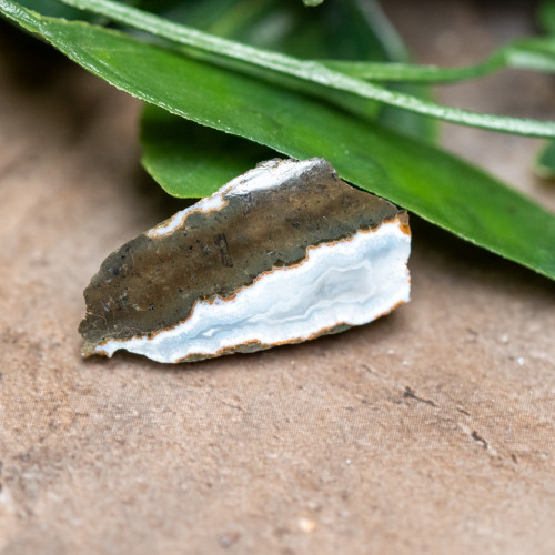 Antarctica Agate Slice #1