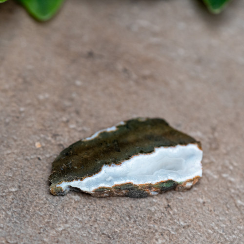 Antarctica Agate Slice #1