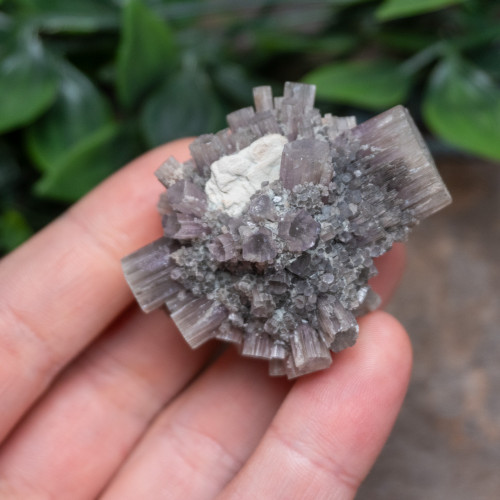 Purple Aragonite #1