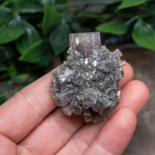 Purple Aragonite #1