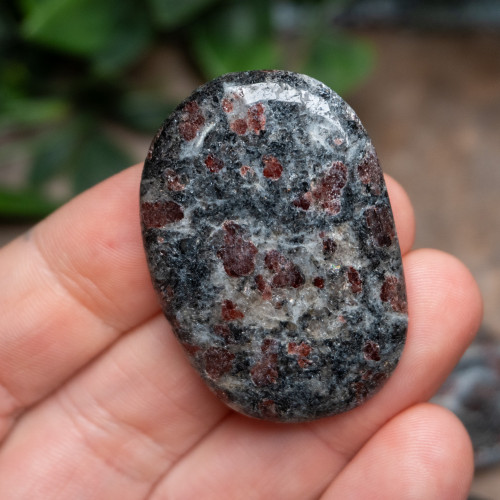 Garnet in Biotite Polished Random