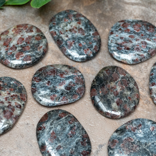 Garnet in Biotite Polished Random