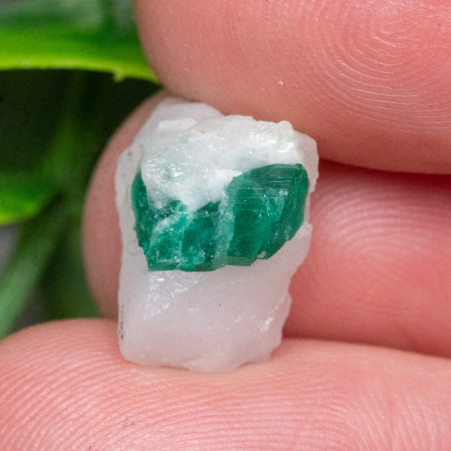 Raw Emerald #2