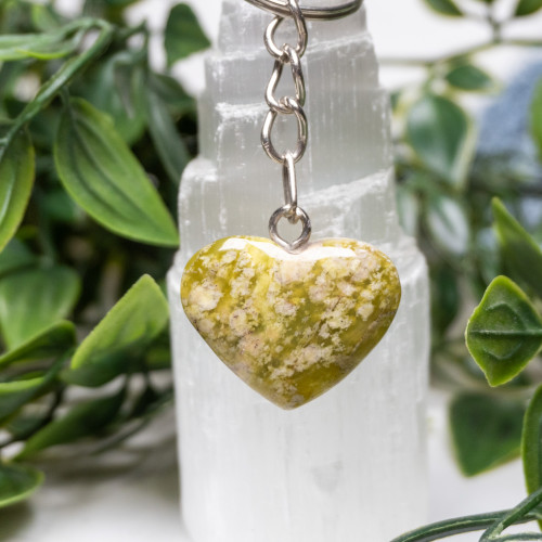 Serpentine Heart Key Chain #28