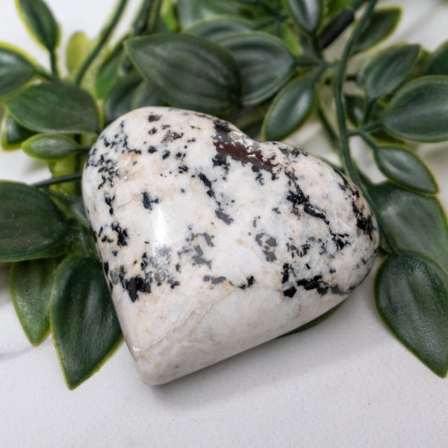 Blue Jay Sapphire Heart #2