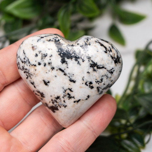 Blue Jay Sapphire Heart #2