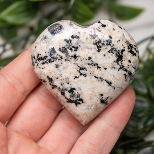 Blue Jay Sapphire Heart #1