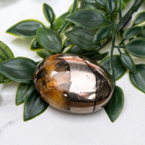 Lion's Gate Quartz Palmstone #1