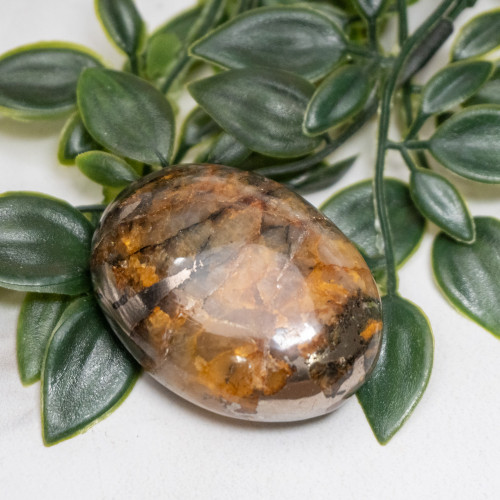 Lion's Gate Quartz Palmstone #1