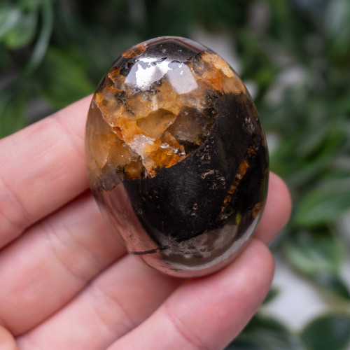 Lion's Gate Quartz Palmstone #1