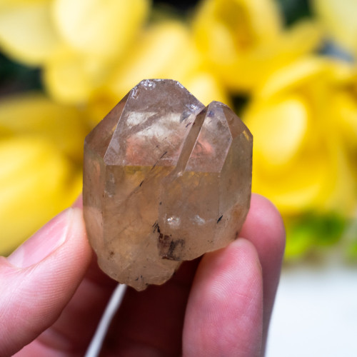 Kundalini Citrine #13