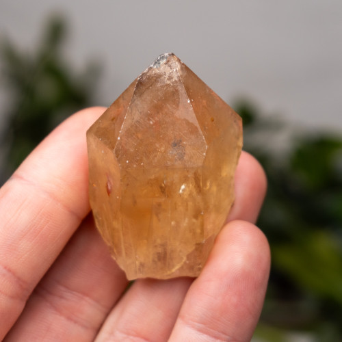 Kundalini Citrine #12