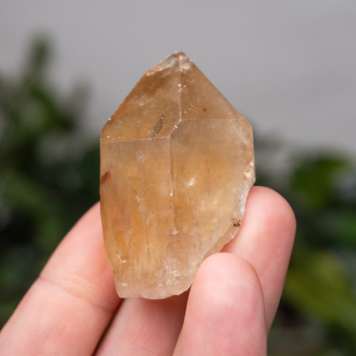 Kundalini Citrine #12