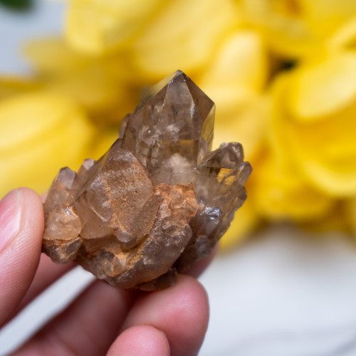 Kundalini Citrine #11