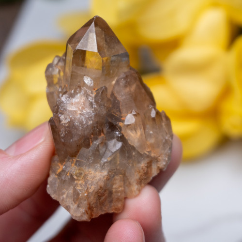 Kundalini Citrine #11