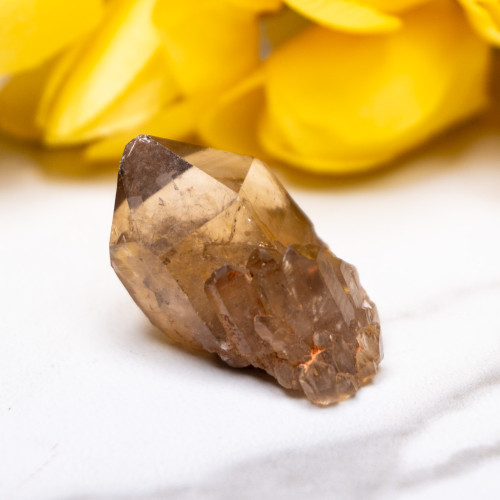 Kundalini Citrine #8