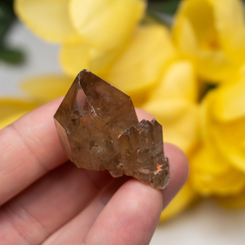 Kundalini Citrine #8
