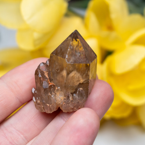 Kundalini Citrine #8