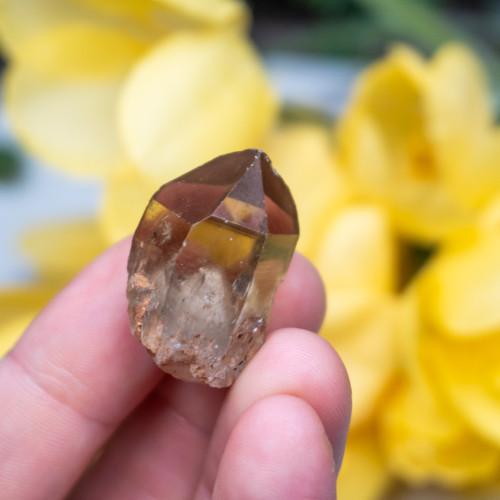Kundalini Citrine #5