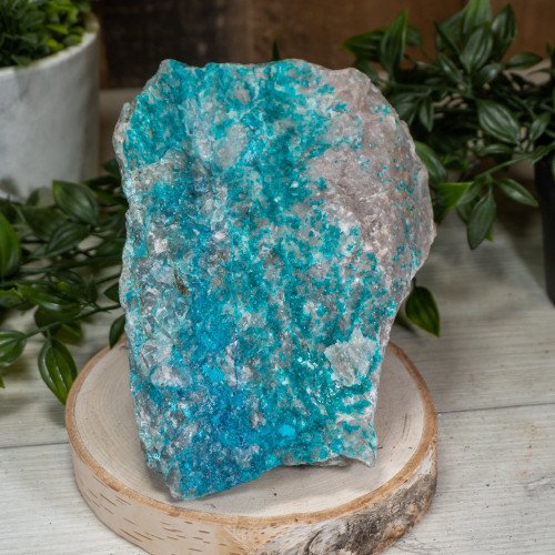 Large Gemmy Dioptase on Quartz with Chrysocolla and Shattuckite #1
