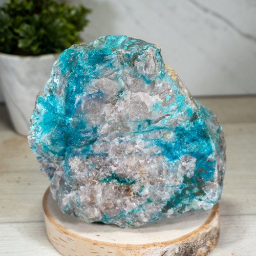 Large Gemmy Dioptase on Quartz with Chrysocolla and Shattuckite #2