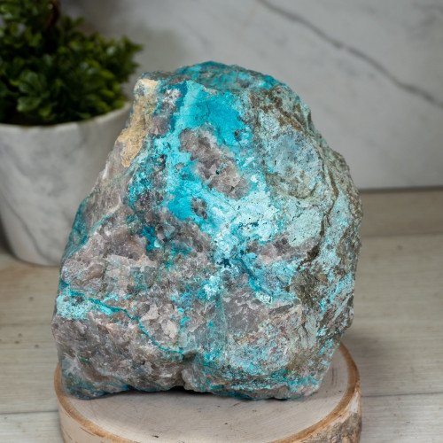 Large Gemmy Dioptase on Quartz with Chrysocolla and Shattuckite #2