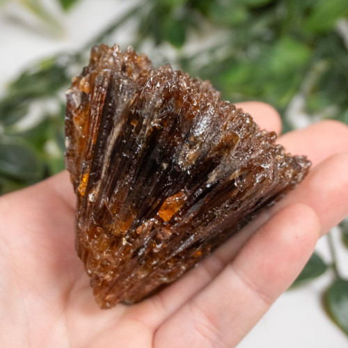 Amber Calcite #15
