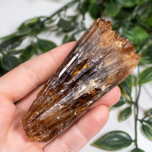Amber Calcite #14