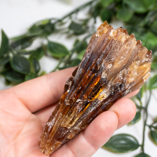 Amber Calcite #14