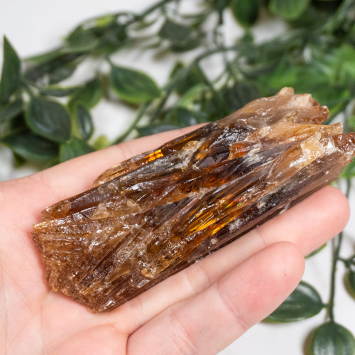 Amber Calcite #14