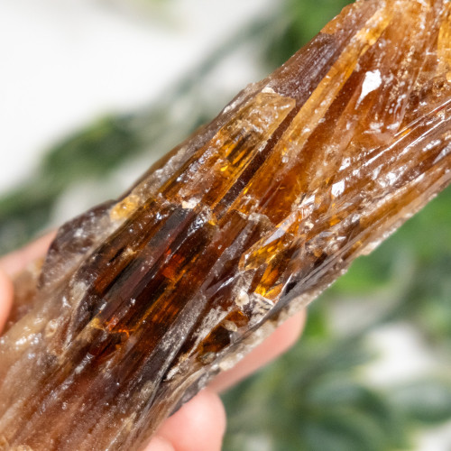 Amber Calcite #14