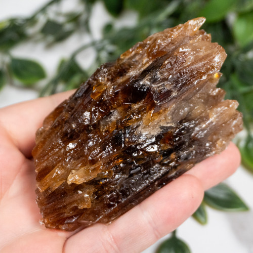 Amber Calcite #13