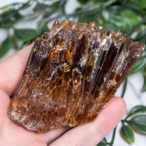 Amber Calcite #12