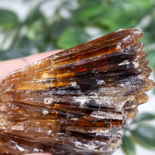 Amber Calcite #12