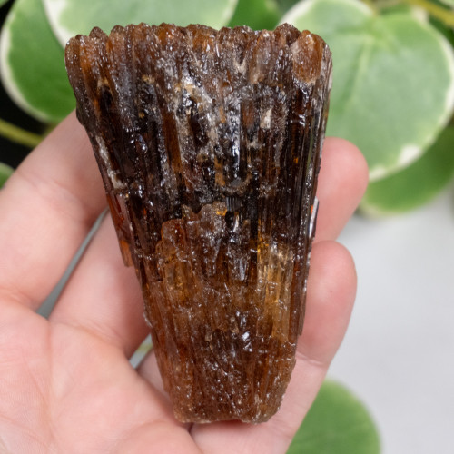 Amber Calcite #11