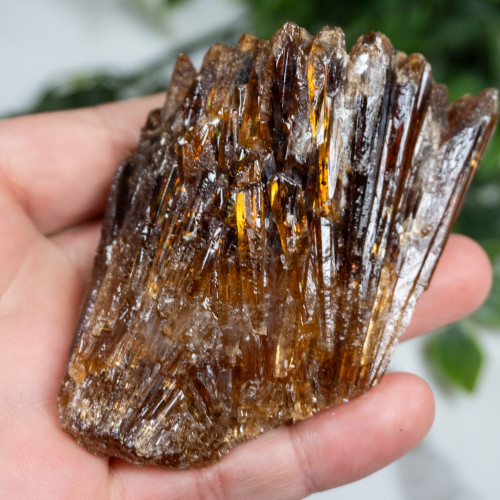 Amber Calcite #12