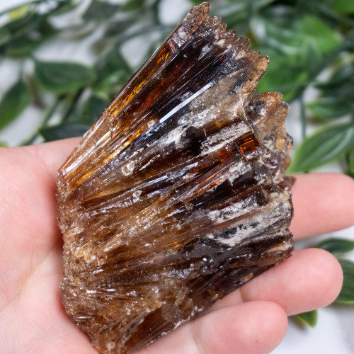 Amber Calcite #12