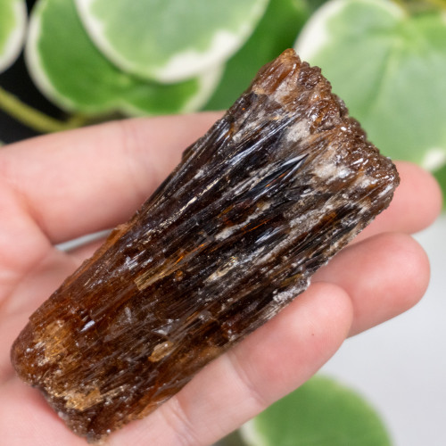 Amber Calcite #11