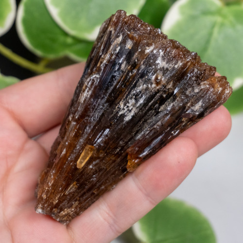 Amber Calcite #11