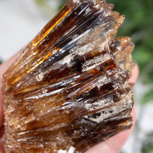 Amber Calcite #12