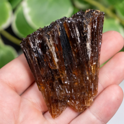 Amber Calcite #10