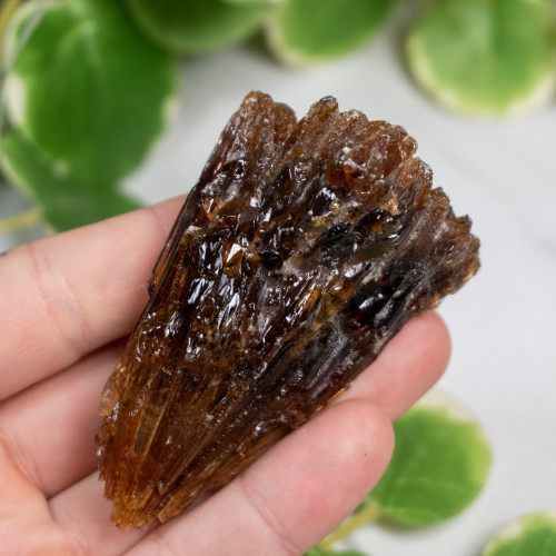 Amber Calcite #8
