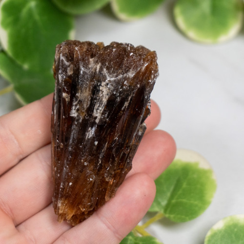 Amber Calcite #8