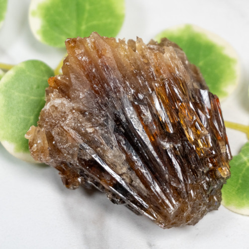 Amber Calcite #7