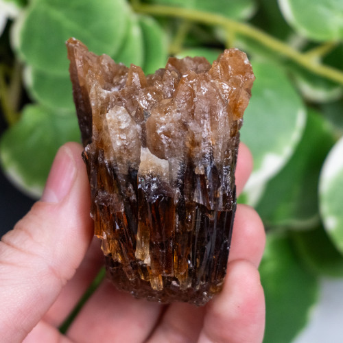 Amber Calcite #7