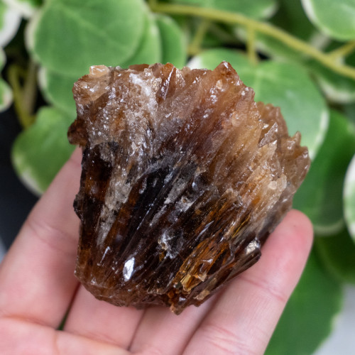Amber Calcite #7