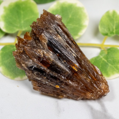 Amber Calcite #6