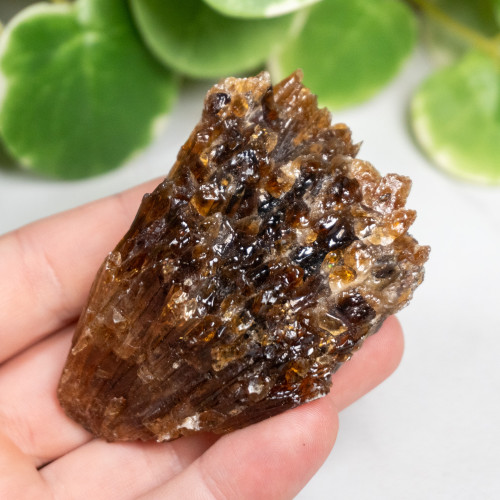 Amber Calcite #6