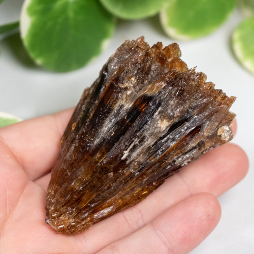 Amber Calcite #6