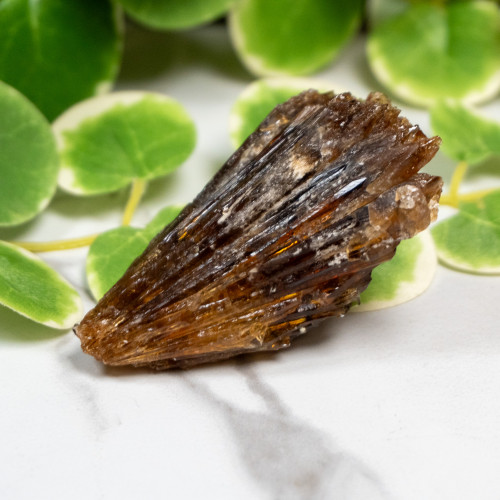 Amber Calcite #6